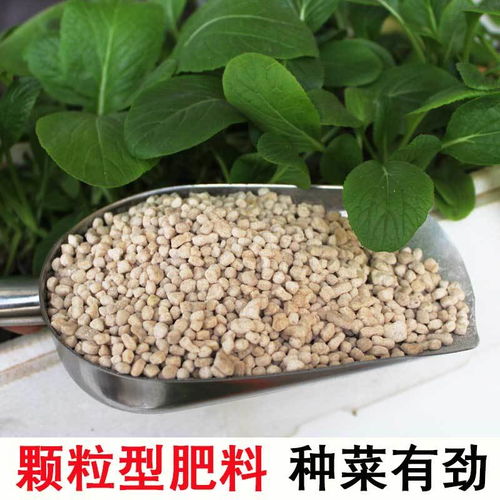 有機肥 蔬菜花卉果樹的自然滋養精華