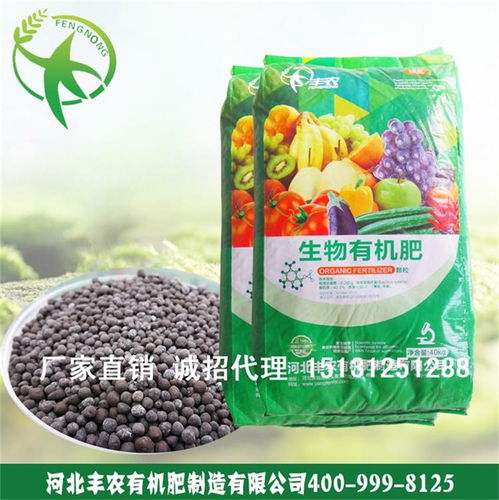 豐農(nóng)有機肥 打造河北蔬菜綠色種植的基石