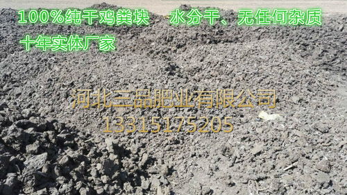 干雞糞報價 廠家