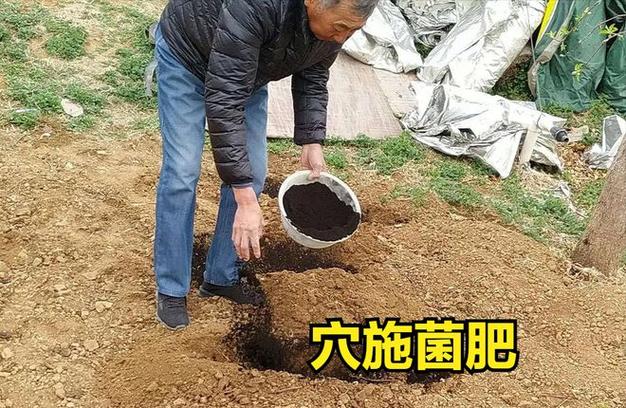 除產品外,方法占第一